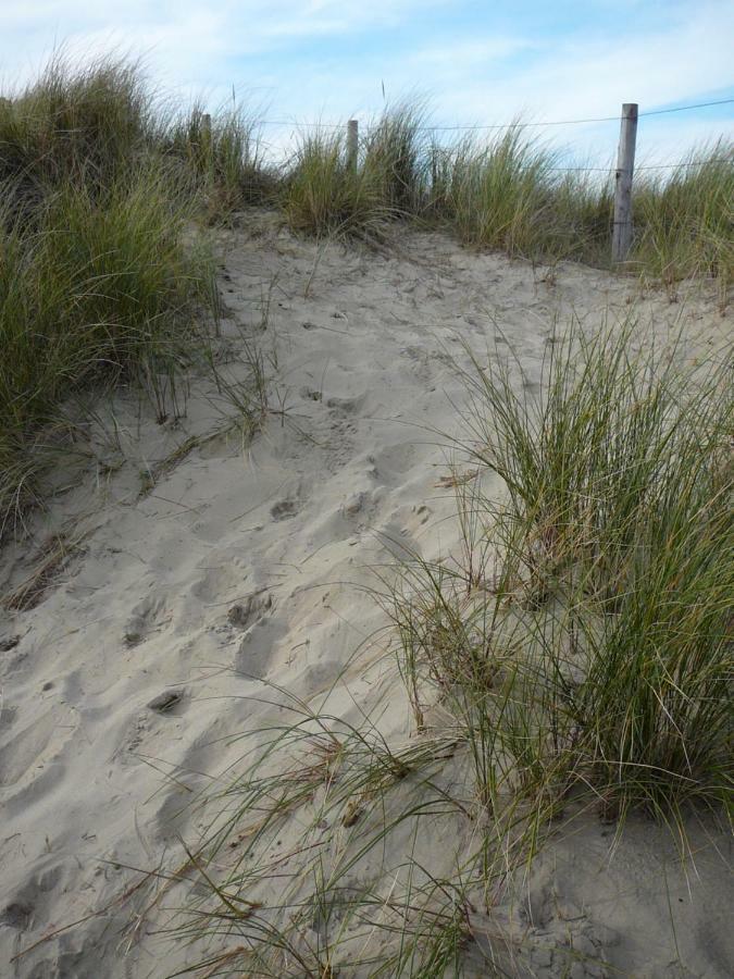 Strandslag Zanddijk 229 Julianadorp Aan Zee エクステリア 写真